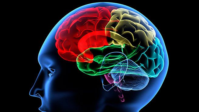 Врач предупреждает: привычка, которая незаметно старит мозг каждый день