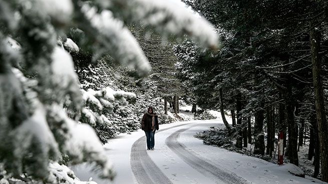 Георгий Цатрафиллиас: из Украины идёт четырёхдневное похолодание — что ждёт Аттику