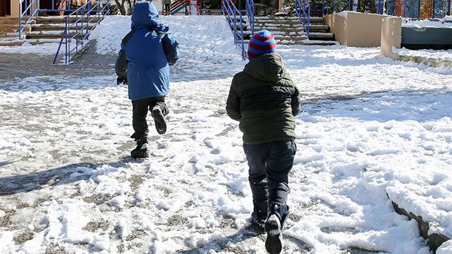 «Red code» в Аттике: обучение переводят на дистанционный формат