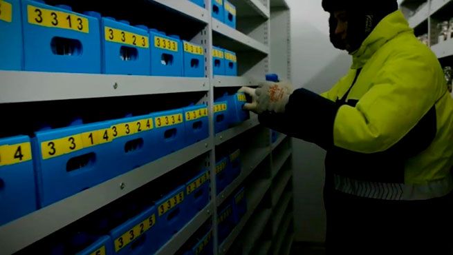 «Хранилище Апокалипсиса»: что на самом деле хранит глобальный резерв человечества