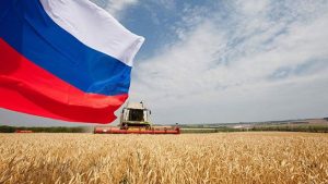 Рекордный экспорт сельскохозяйственной продукции из России в Китай