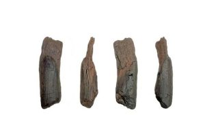 В Аркадии нашли самые древние в мире деревянные орудия: им более 430 тысяч лет