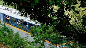 Остановили «Одонто́тос»: дерево рухнуло на рельсы к Калаврите