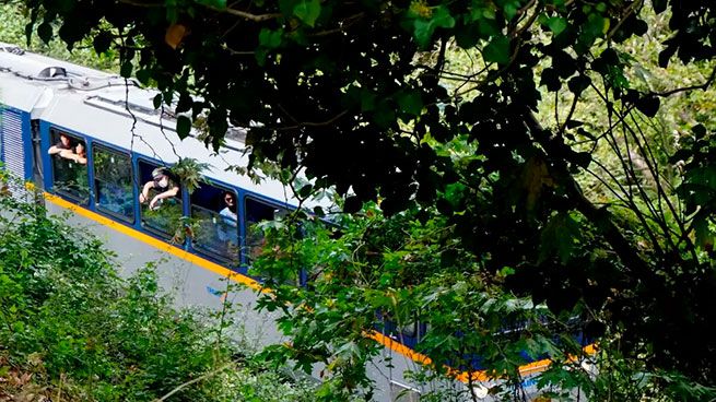 Остановили «Одонто́тос»: дерево рухнуло на рельсы к Калаврите