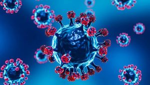 «Болезнь X» в 2026-м: учёные называют 4 вируса-кандидата и объясняют, почему мир не готов