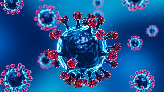 «Болезнь X» в 2026-м: учёные называют 4 вируса-кандидата и объясняют, почему мир не готов