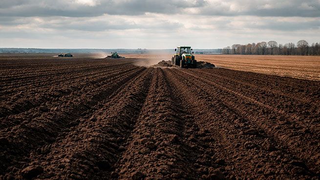 Война за «чёрнозем»: как Украина и Россия меняют глобальную продовольственную карту
