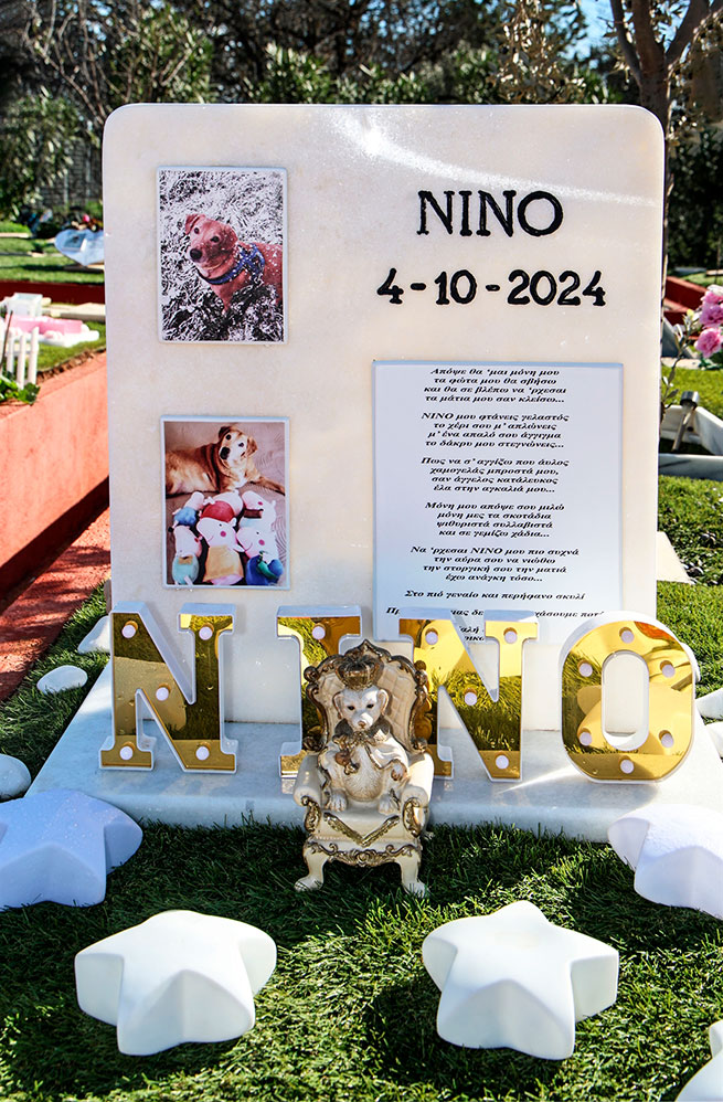 Куда уходят наши питомцы: как в Греции хоронят домашних животных 5 preview