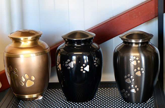 Куда уходят наши питомцы: как в Греции хоронят домашних животных 4 preview